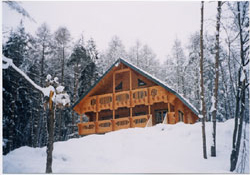 高原都市開発でご購入された長田様のログハウス