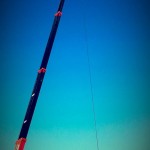 12212069_513995522112269_1913653953_n