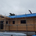 12271010_518400888338399_433020922_o