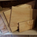 12287583_518736591638162_366077338_o