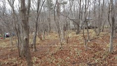 12399042_528249717353516_690943649_n