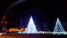 12436415_530384293806725_1320151261_o